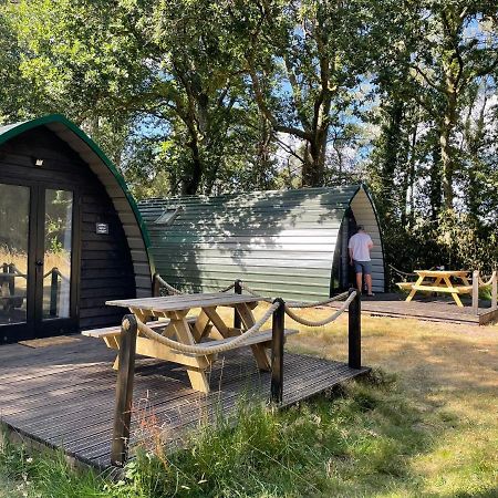 Nightjar Cabin At Cloudshill Glade ウェアラム エクステリア 写真
