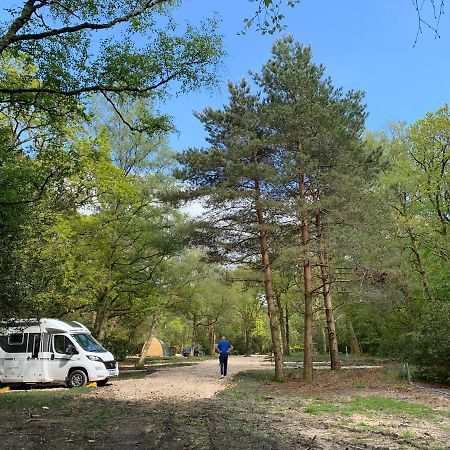 Nightjar Cabin At Cloudshill Glade ウェアラム エクステリア 写真