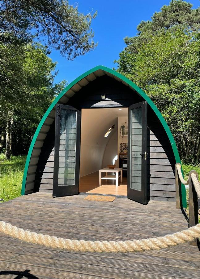 Nightjar Cabin At Cloudshill Glade ウェアラム エクステリア 写真