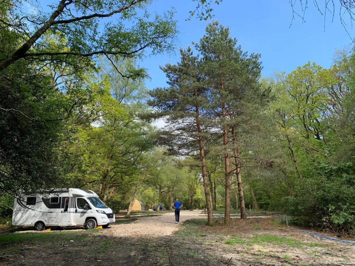 Nightjar Cabin At Cloudshill Glade ウェアラム エクステリア 写真
